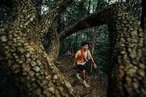 BIB: 
                            <button type="button" onclick="openModal(25669247)" class="btn btn-primary btn-sm float-right btn-popup" data-toggle="modal" data-target=".modal-high-quality">
                        <i class="fas fa-shopping-cart"></i> Add to Cart
                    </button>
                                            <button type="button" onclick="isThisMe(25669247, true)" class="btn btn-success btn-sm float-right btn-popup btn-isme hidden" data-toggle="tooltip" data-placement="bottom" title="นี่คือรูปของคุณใช่ไหม คลิกที่นี่เพื่อเอาเข้าอัลบั้ม">
                        <i class="fas fa-plus"></i> Add to album
                    </button>
                    <button type="button" onclick="isThisMe(25669247, false)" class="btn btn-warning btn-sm float-right btn-popup btn-isnotme hidden">
                        <i class="fas fa-ban"></i> Remove from album
                    </button>